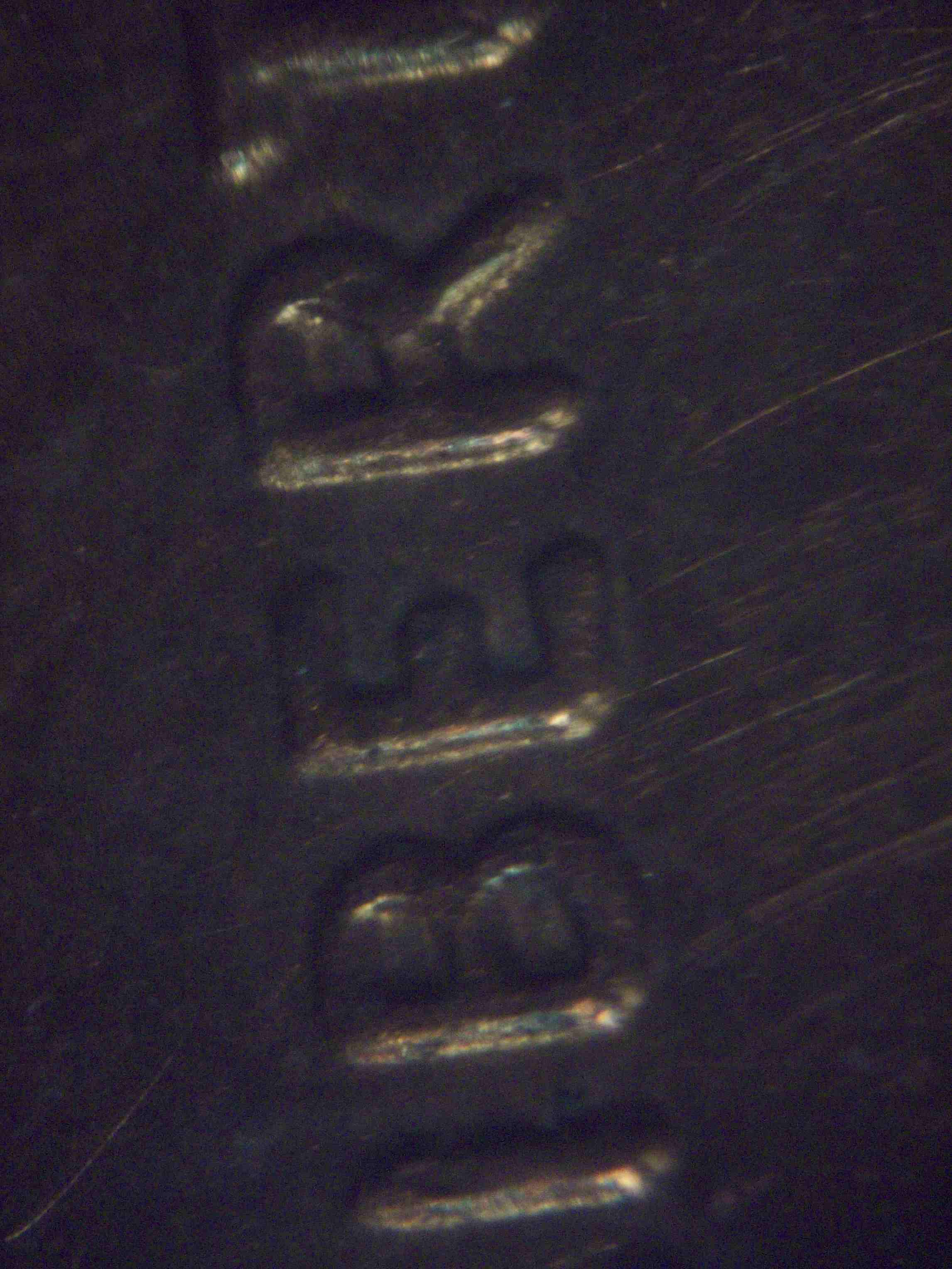 2014-P-Doubled-Die-OBV-DDO-On-Liberty-And-Minor-Date-Is-This-A-New-Discovery-?